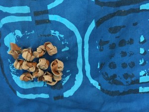 11119952_10153365546326115_919664318_n