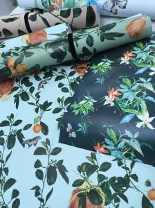 10003600_10153382657581115_6260001467015031520_o