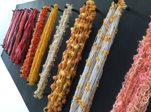 11013604_10153404808816115_7308307266644932585_o