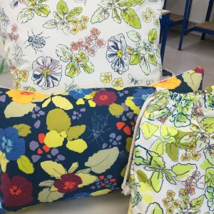 11313136_10153386253001115_3983803426044611541_o