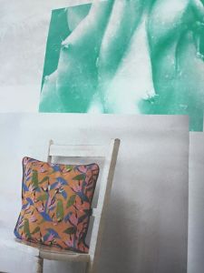 11390067_10153396234906115_3634178957721322619_n