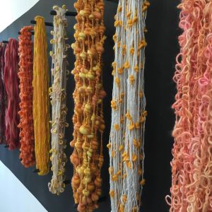 11402480_10153404808811115_7980466472816684358_o