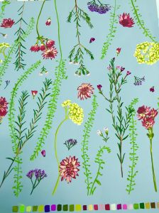 11424811_10153390231201115_7199007346883832077_o