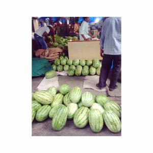 11693151_10153113702044195_1090818370_n