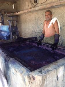 11739582_10153125954399195_709588302_n