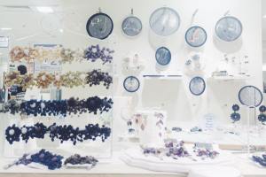 11750653_10207329067615041_7424489812314844251_n