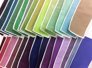 11754601_10153498317666115_2226237338869059570_o