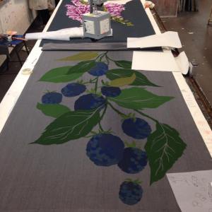 11791784_10153380187650733_1518121046_n