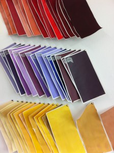 11794395_10153498317686115_7730219420786080535_o