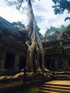 11823968_10153158146887901_1745361306_n