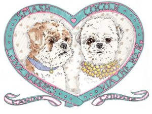 522146_10151312564194895_1888330815_n