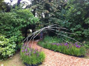 11845021_10153548914836115_1463970894243820568_o