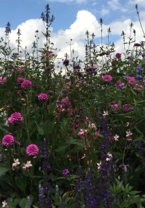 11886275_10153554934336115_872942803_o