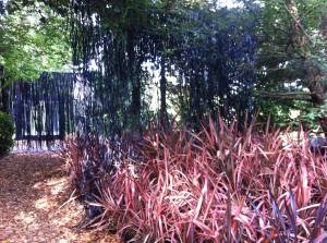 11890022_10153548914831115_3564214902822385828_o