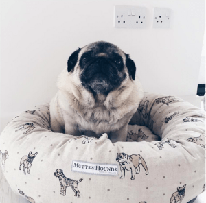 Jo's work on products