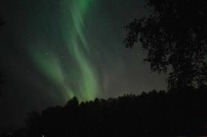 11222947_1051969051481068_9135967771279845082_n