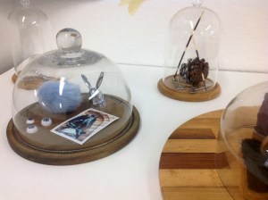  Students decide how to show off their collection 