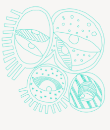 Screen Shot 2015-10-09 at 08.15.55