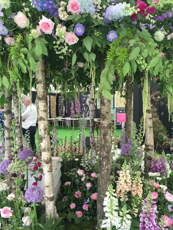 19702534_10155442338121115_2153104374322084192_n