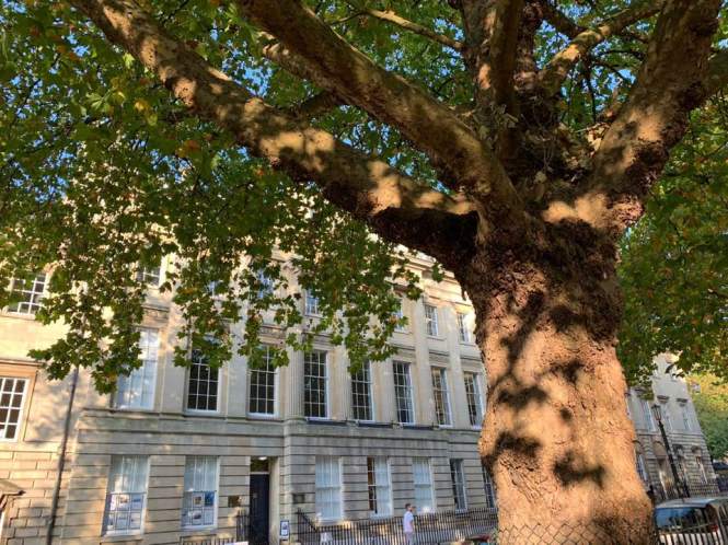 43599442_10156825269906115_4911918203946401792_n