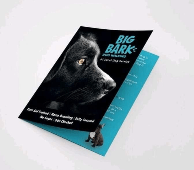 Screen Shot 2020-02-23 at 10.16.41